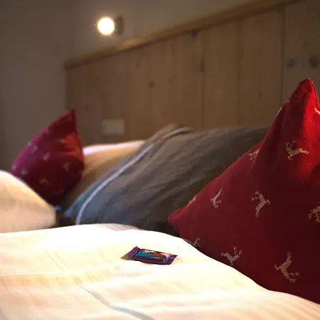 Dorfchalets & - In Centre Including Free Entry Tauern And Summer Card Apartamento