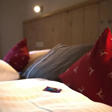 Apartment Dorfchalets & - Authentic Experience In Centre Of Including Tauernspa And Summercard